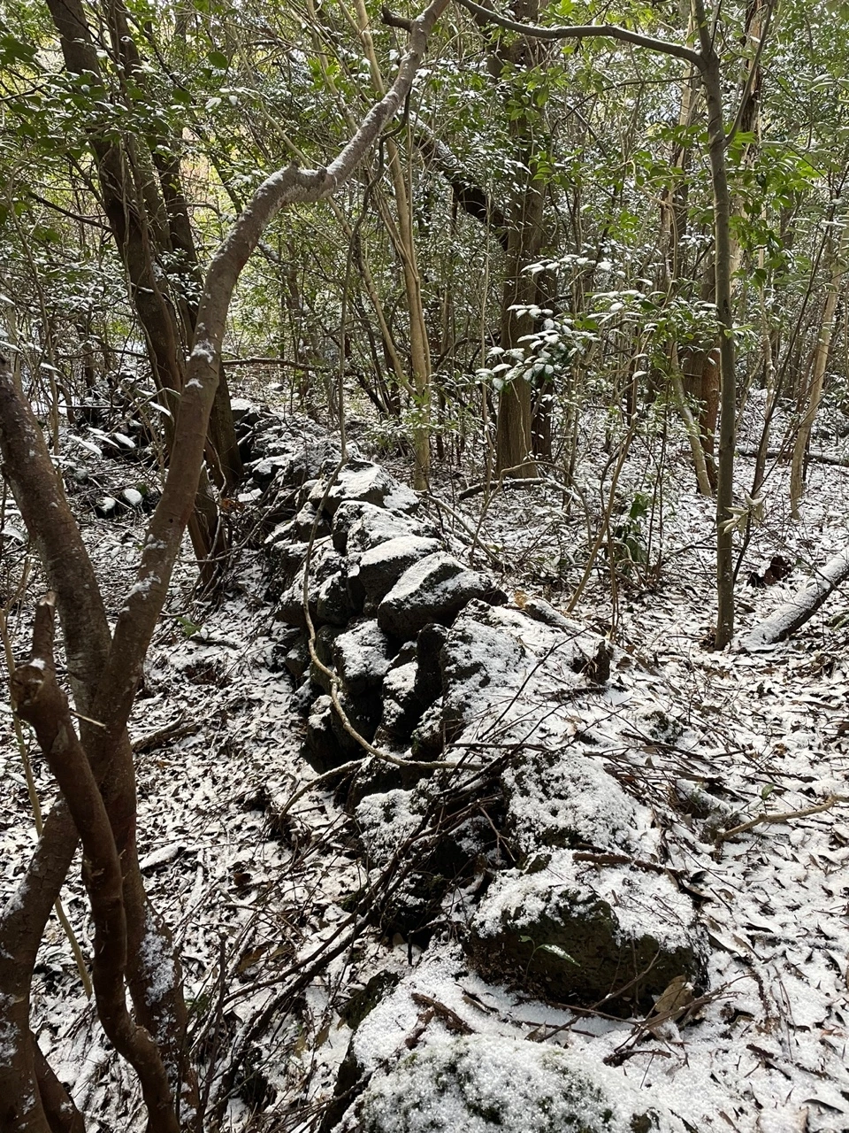 KakaoTalk_Photo_2022-02-07-13-32-46 008.jpeg