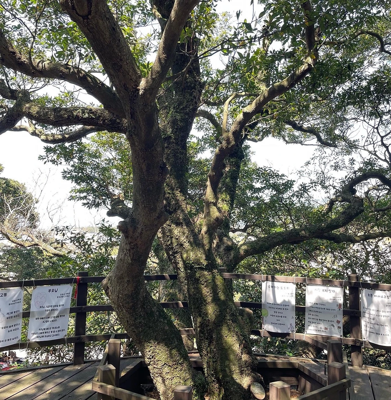 KakaoTalk_Photo_2022-04-06-08-20-11 005.jpeg