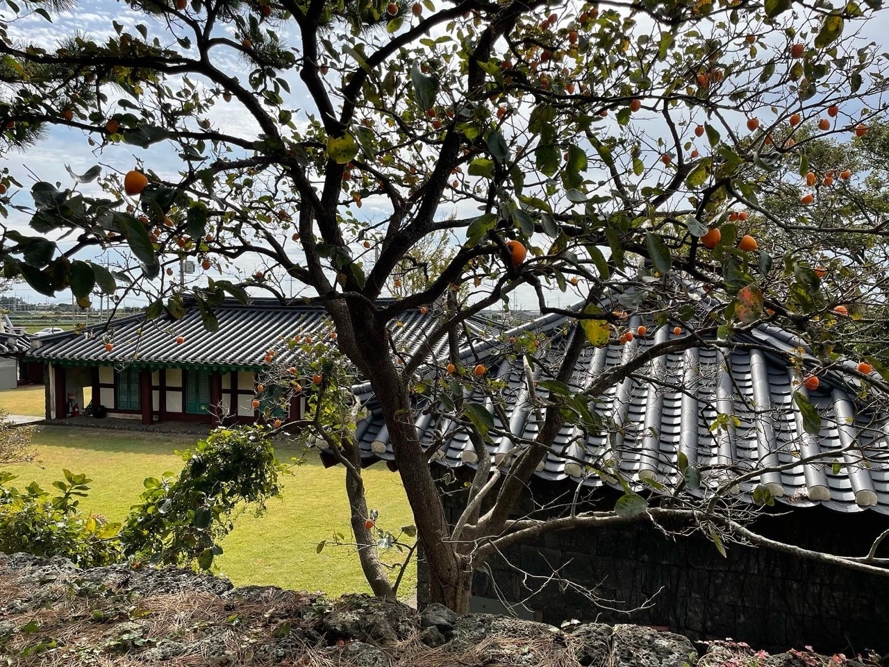 KakaoTalk_Photo_2021-11-01-09-00-58 023.jpeg