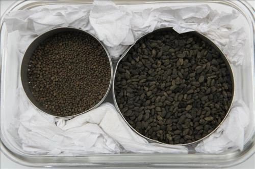 광개토태왕 06 호로고루 성2.jpeg