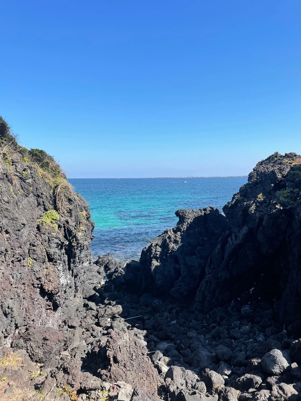 KakaoTalk_Photo_2021-11-01-08-33-40 006.jpeg