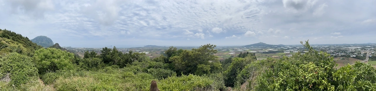 KakaoTalk_Photo_2022-05-30-08-47-08 010.jpeg