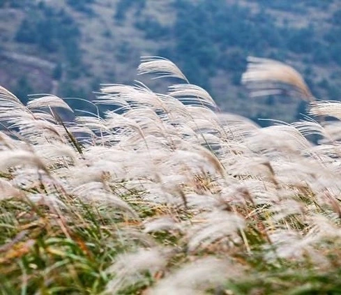 KakaoTalk_Photo_2021-10-29-03-17-50 002.jpeg