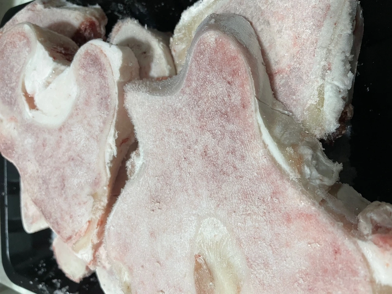 KakaoTalk_Photo_2022-01-29-08-30-39 009.jpeg