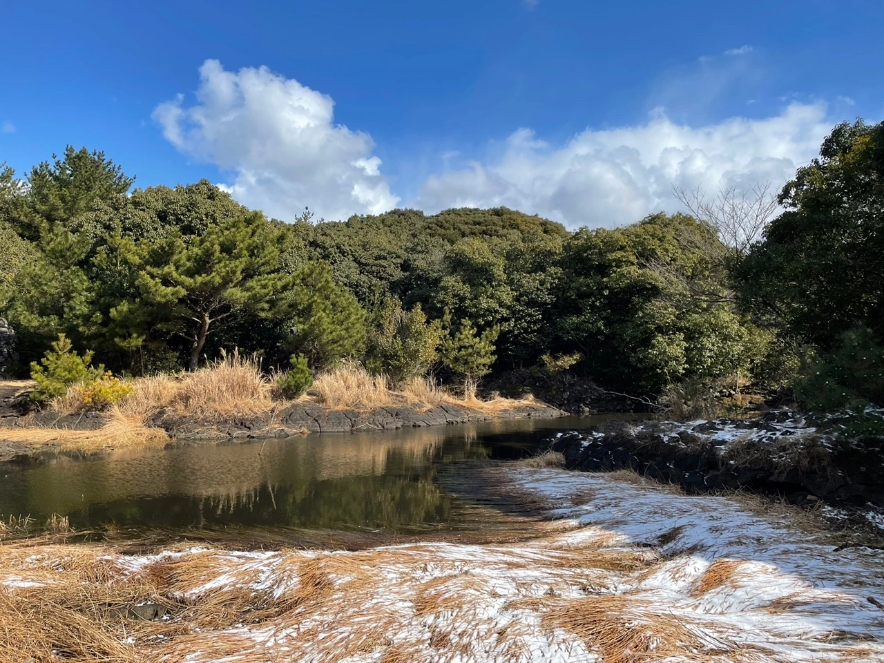 KakaoTalk_Photo_2022-02-07-13-32-48 012.jpeg