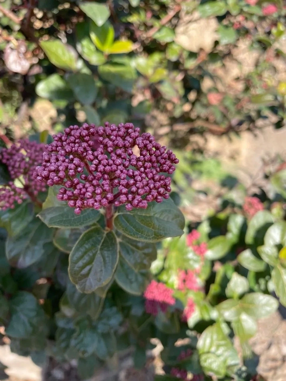 KakaoTalk_Photo_2022-02-07-14-31-35 029.jpeg