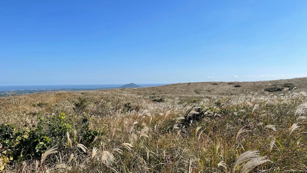 KakaoTalk_Photo_2021-11-01-09-01-29 016.jpeg