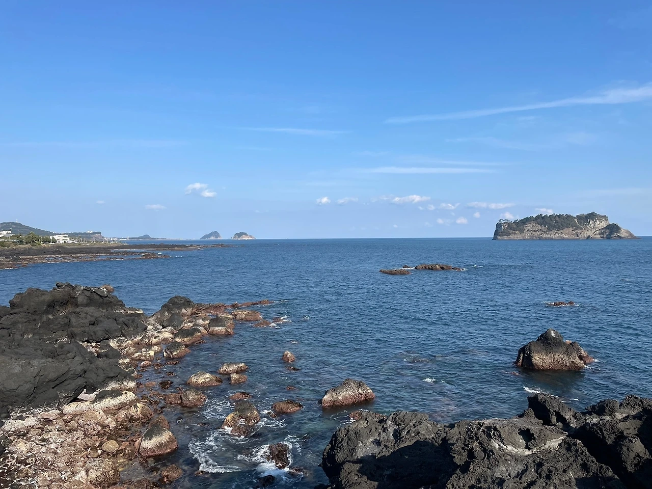 KakaoTalk_Photo_2022-04-06-08-20-48 007.jpeg