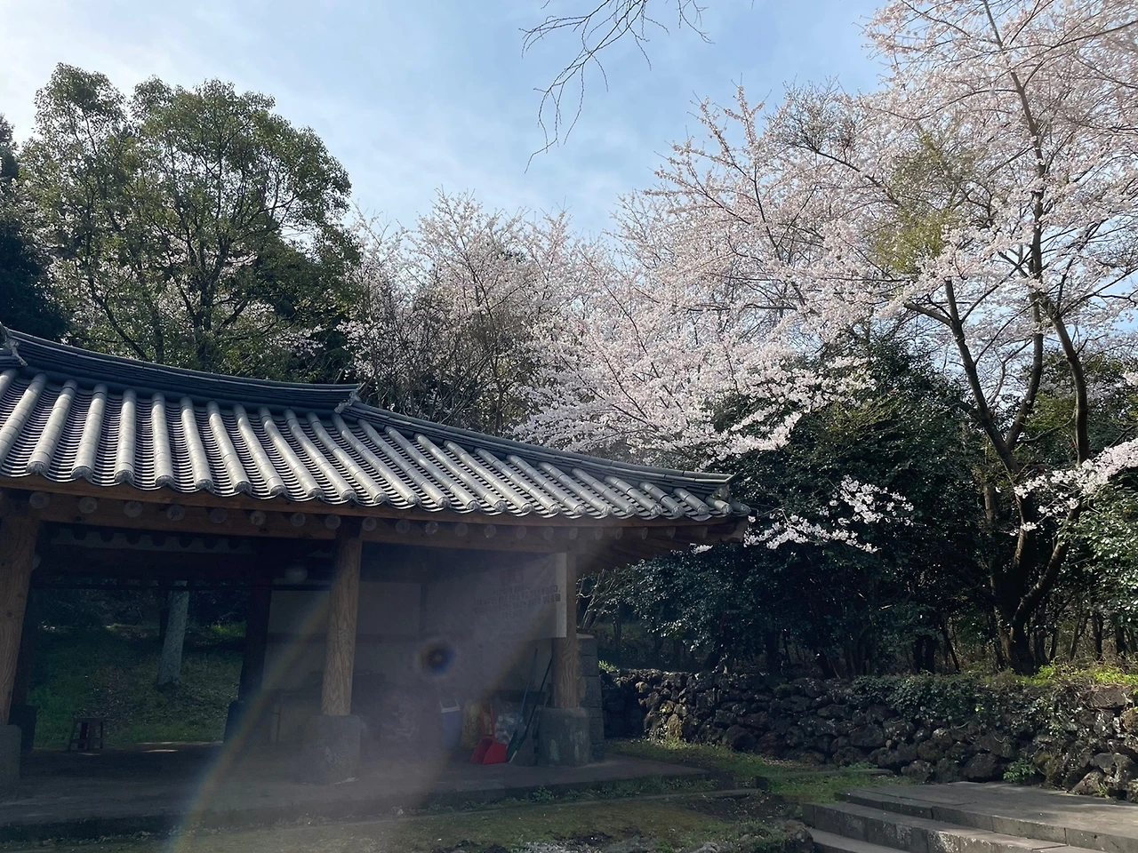 KakaoTalk_Photo_2022-04-06-08-21-11 015.jpeg