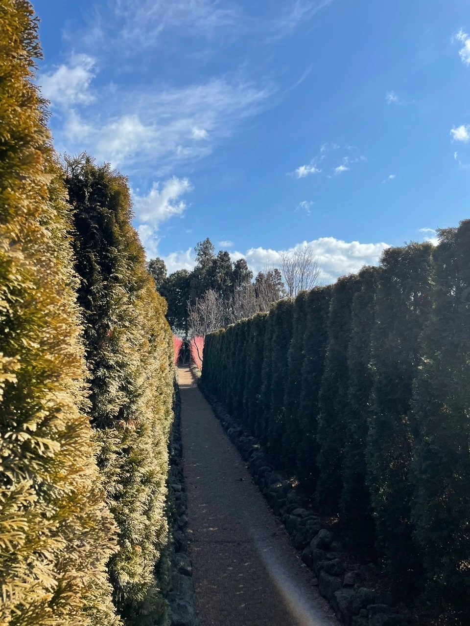 KakaoTalk_Photo_2022-02-07-14-31-32 022.jpeg