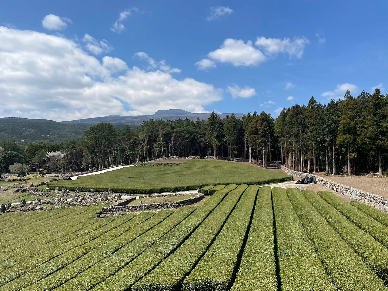 KakaoTalk_Photo_2022-04-06-08-21-16 026.jpeg