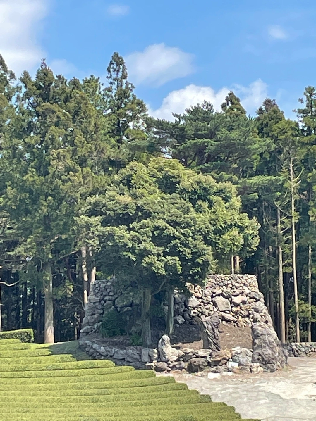 KakaoTalk_Photo_2022-04-06-08-21-17 029.jpeg