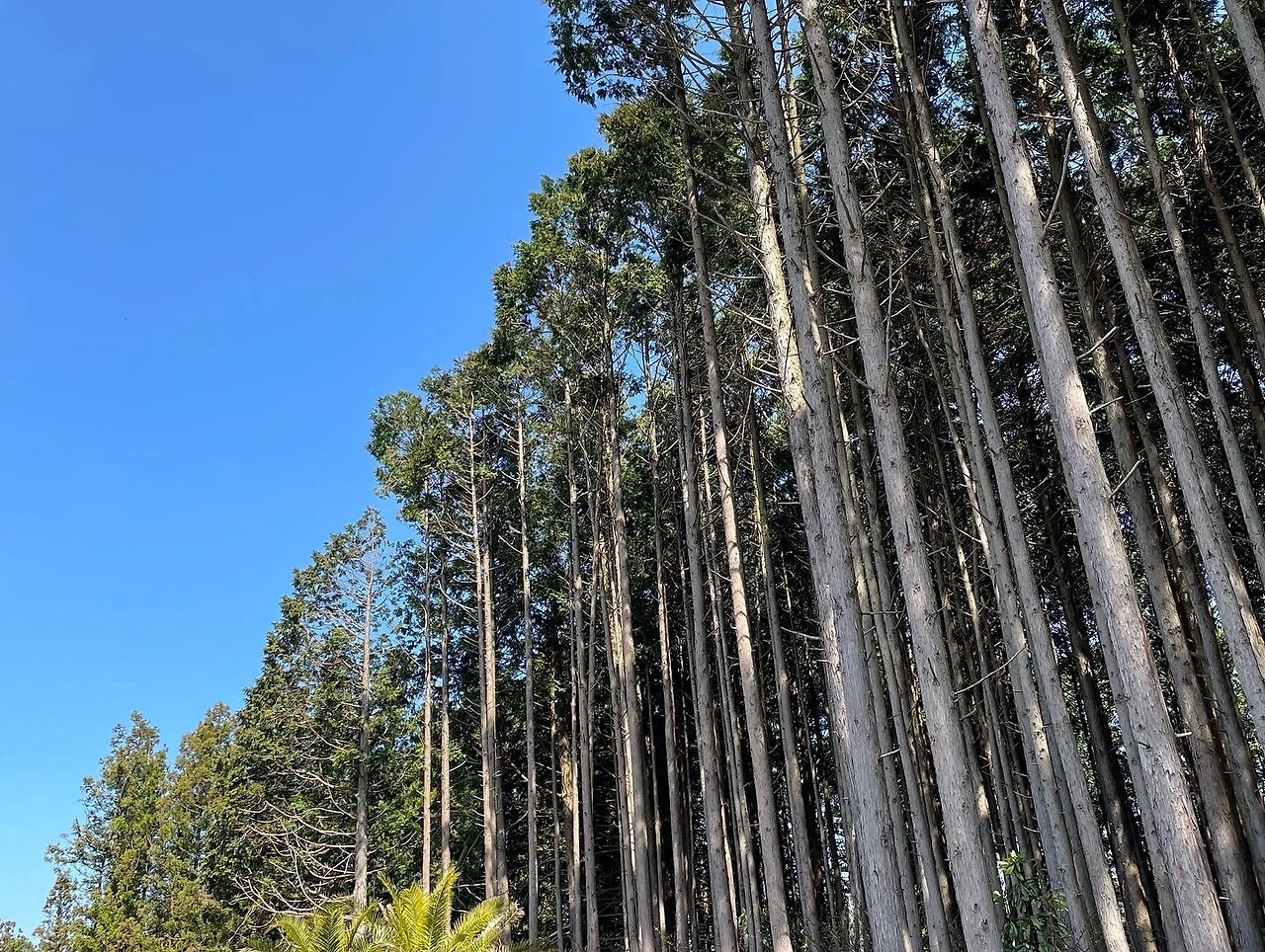 KakaoTalk_Photo_2022-04-06-08-21-14 022.jpeg