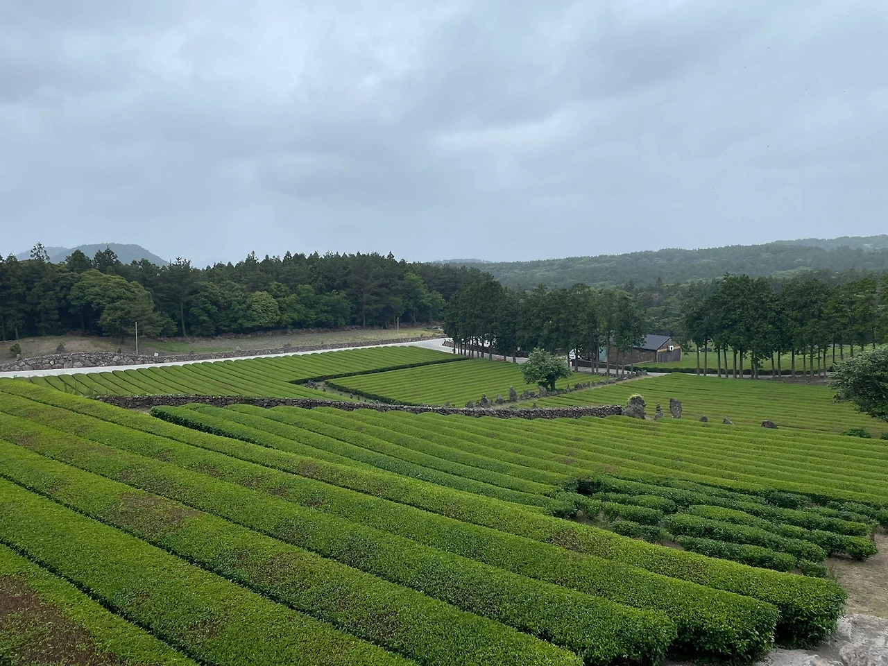 KakaoTalk_Photo_2022-05-30-08-46-42 007.jpeg