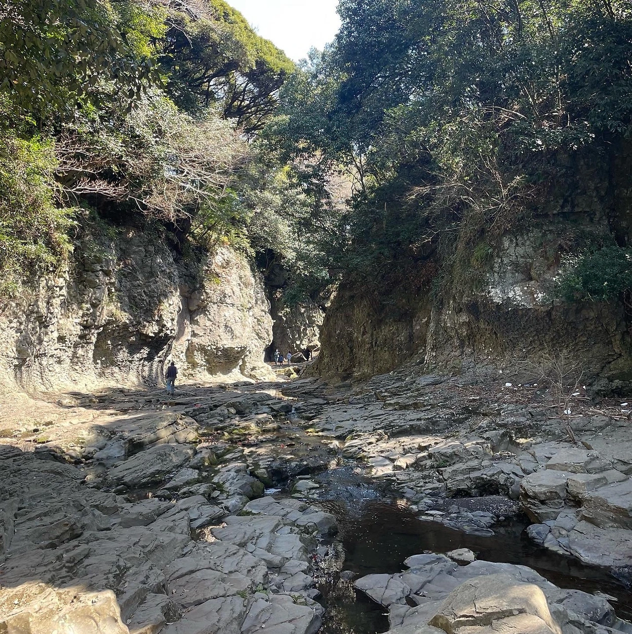 KakaoTalk_Photo_2022-04-06-08-20-14 011.jpeg