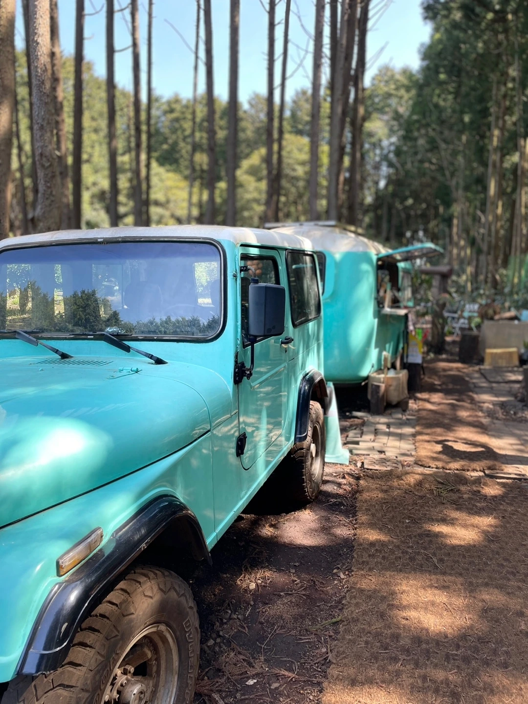 KakaoTalk_Photo_2022-04-06-08-21-12 016.jpeg