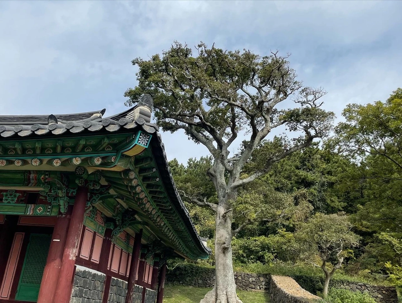 KakaoTalk_Photo_2021-11-01-09-00-58 022.jpeg