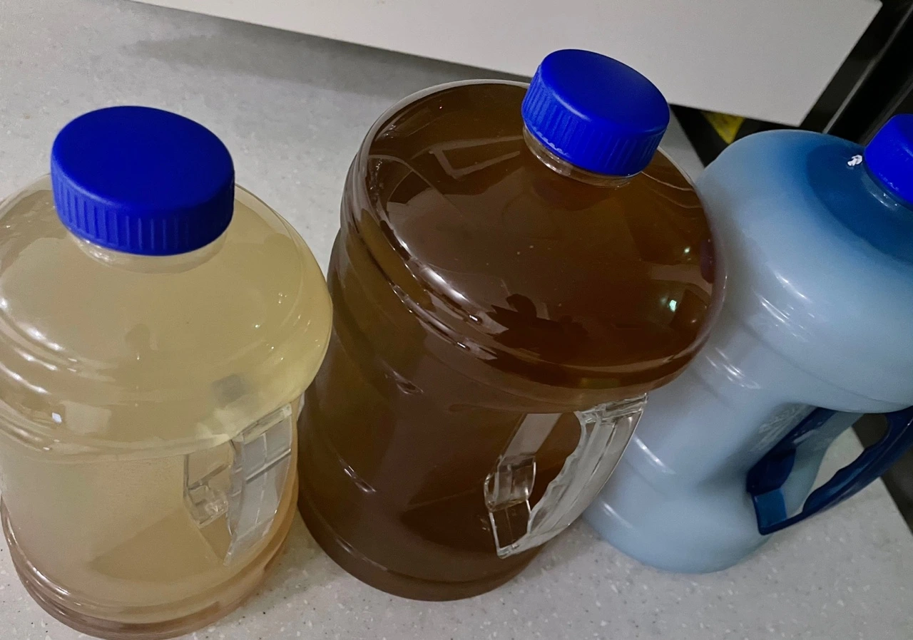 KakaoTalk_Photo_2022-01-29-08-30-38 004.jpeg