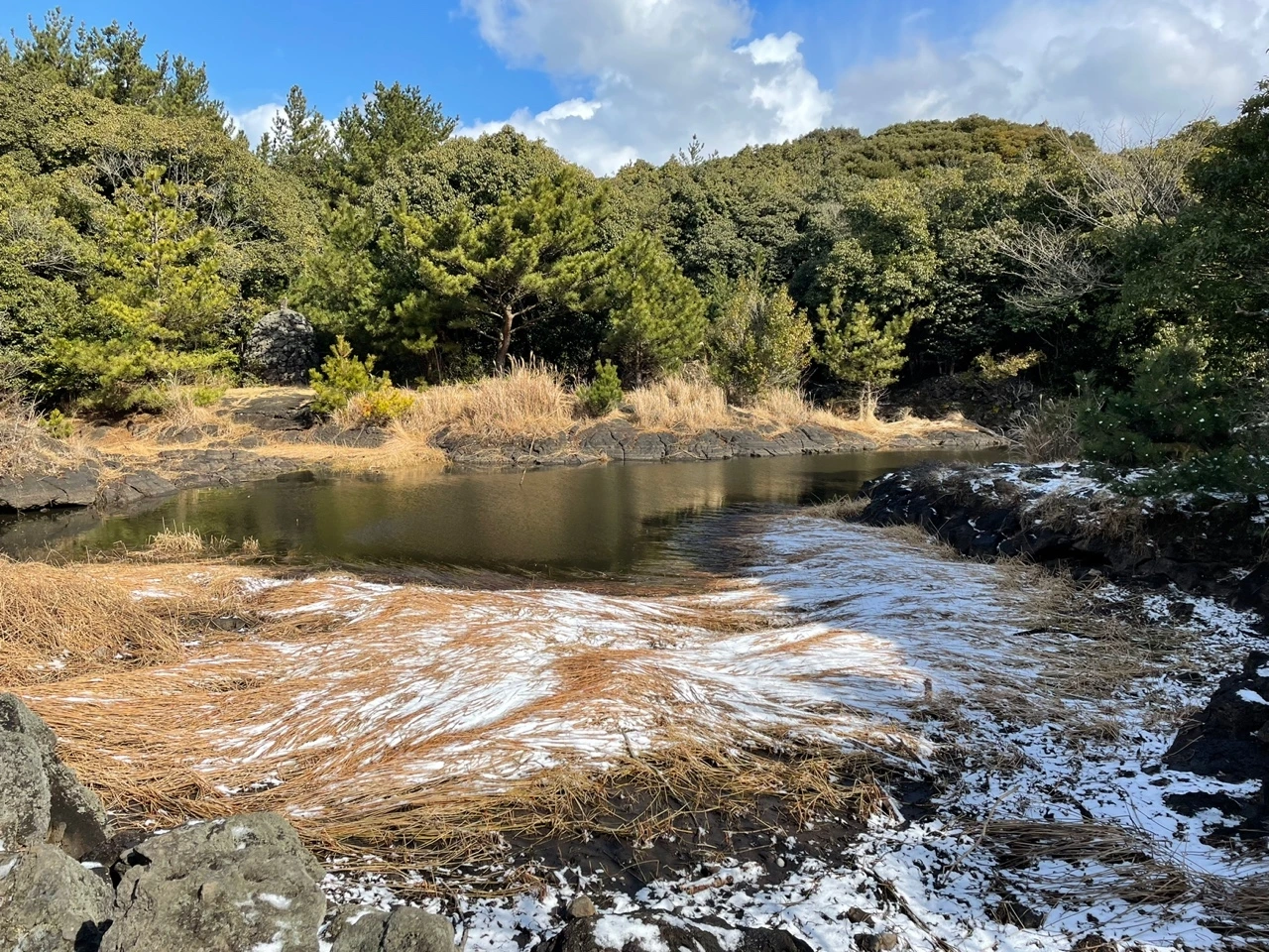 KakaoTalk_Photo_2022-02-07-13-32-48 011.jpeg