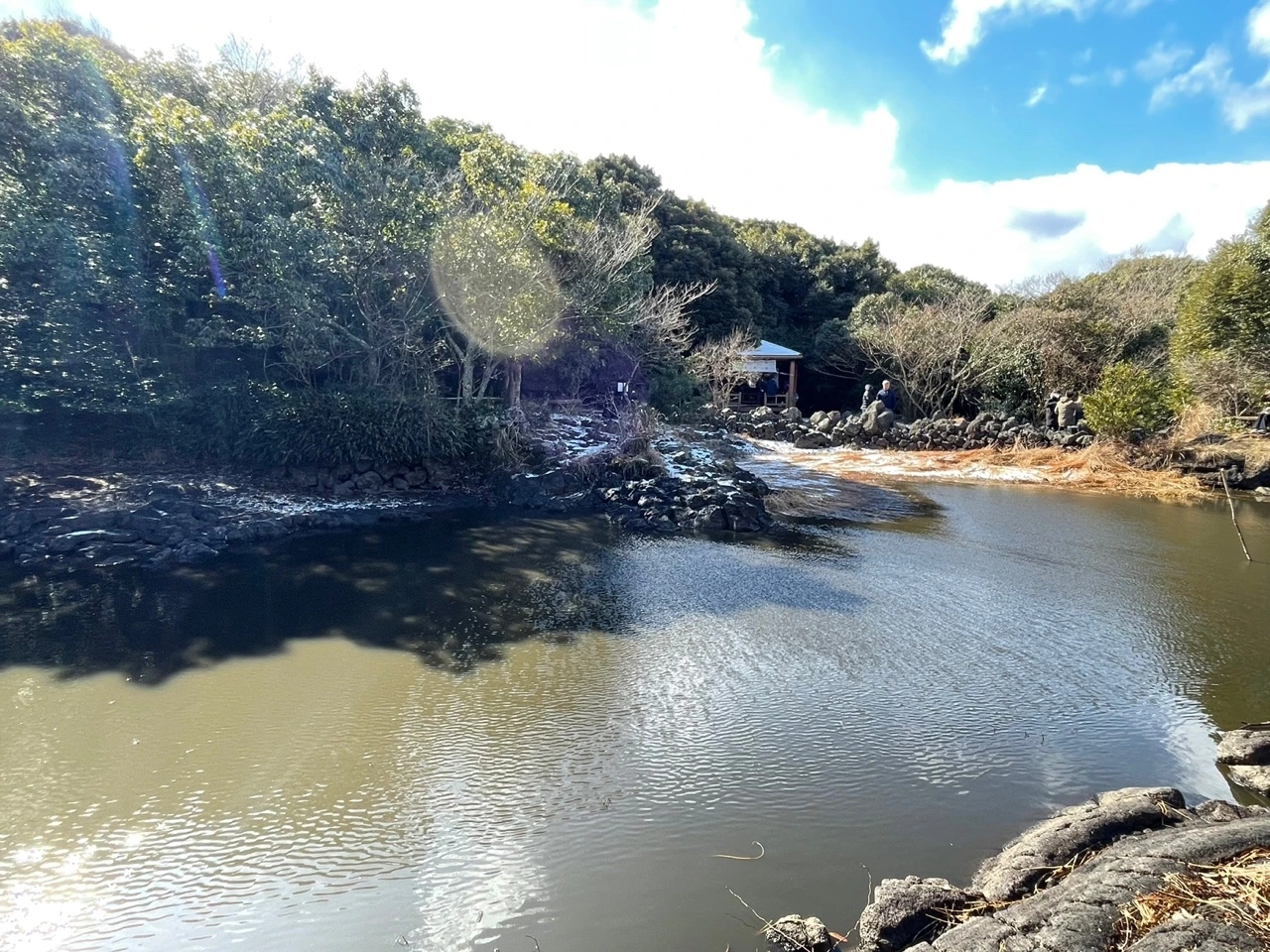 KakaoTalk_Photo_2022-02-07-13-32-49 014.jpeg