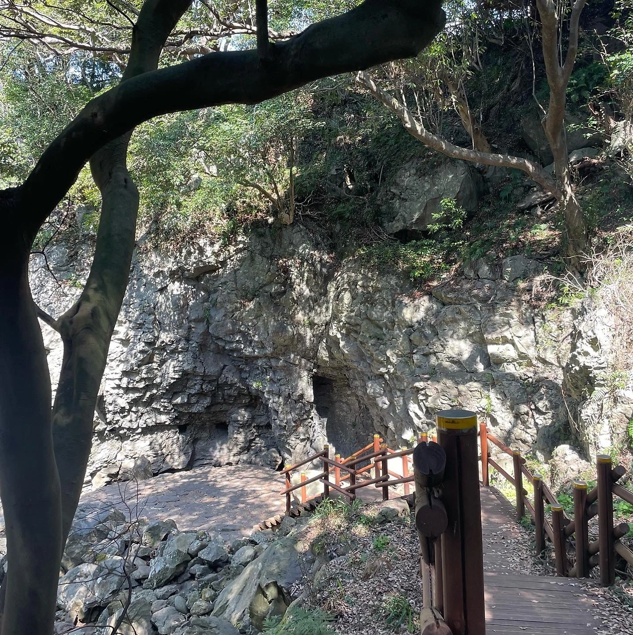 KakaoTalk_Photo_2022-04-06-08-20-12 006.jpeg