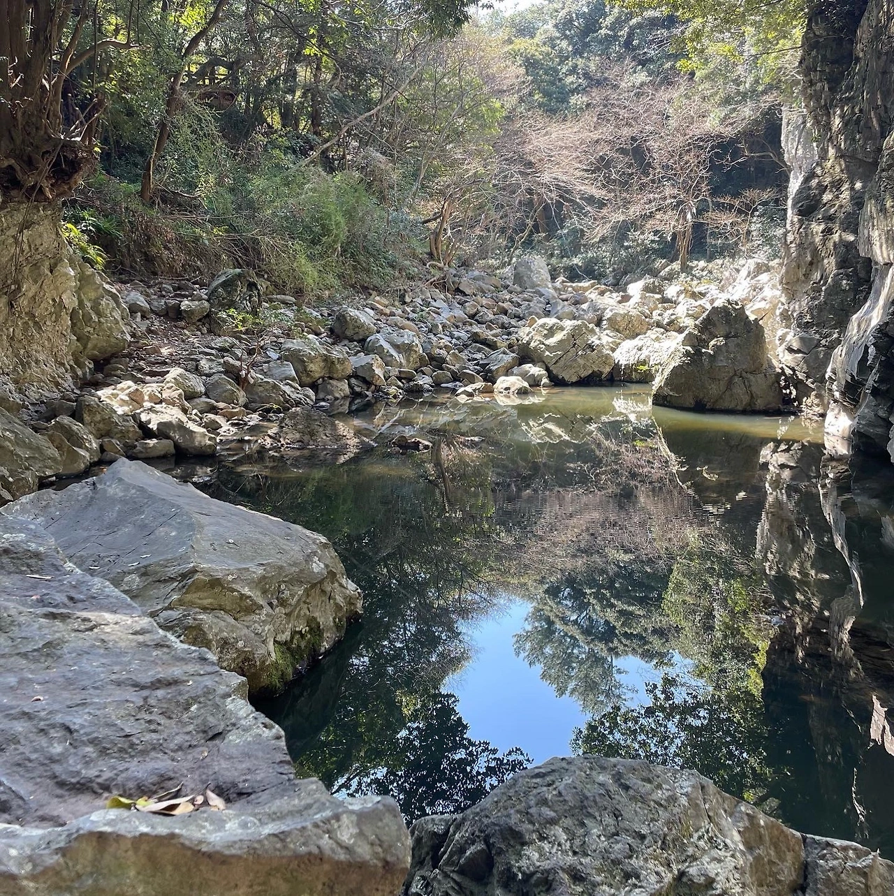 KakaoTalk_Photo_2022-04-06-08-20-12 007.jpeg