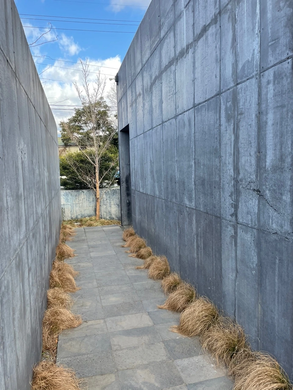 KakaoTalk_Photo_2022-02-07-14-31-26 004.jpeg