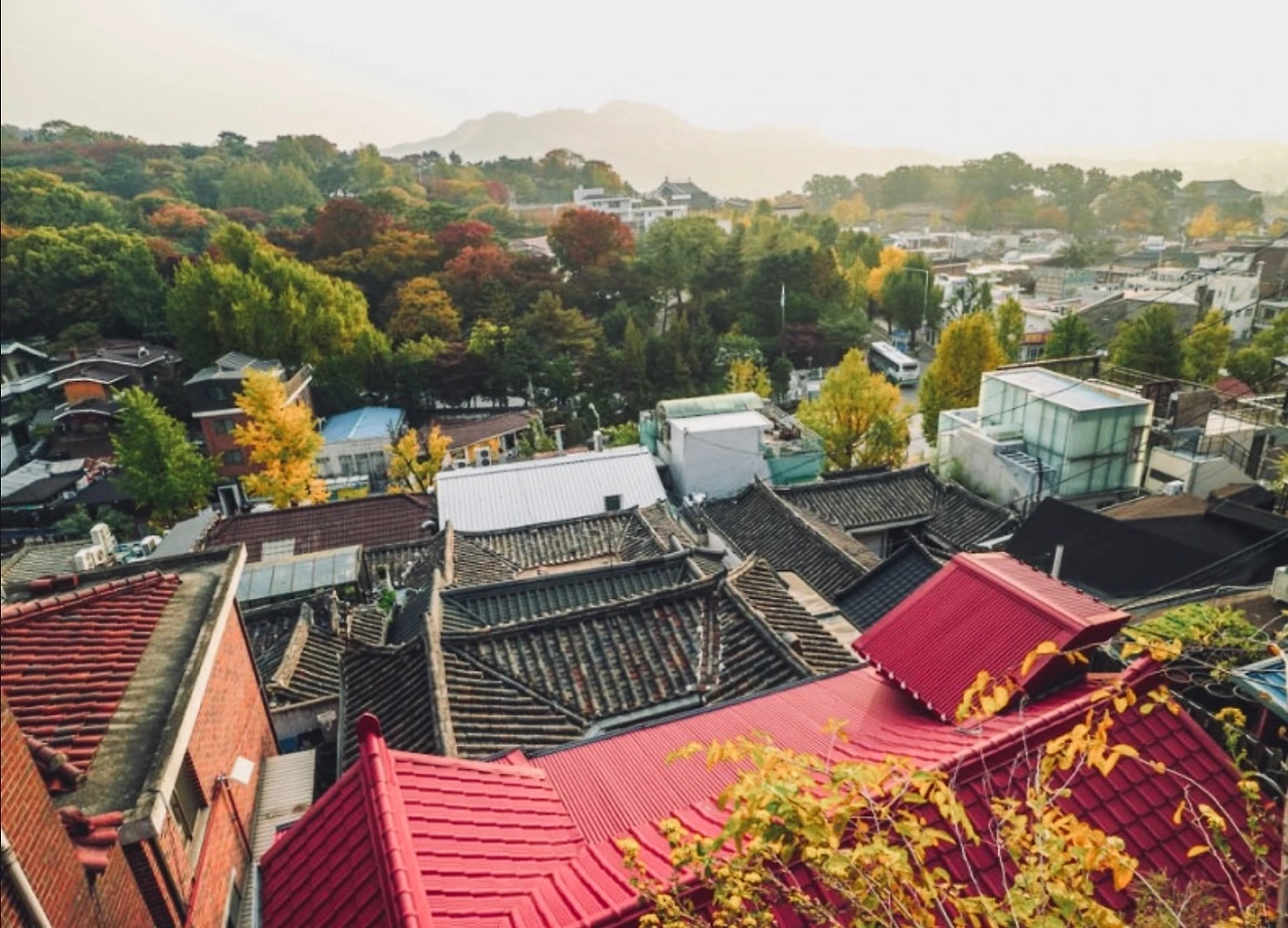 KakaoTalk_Photo_2022-10-24-09-26-03 006.jpeg