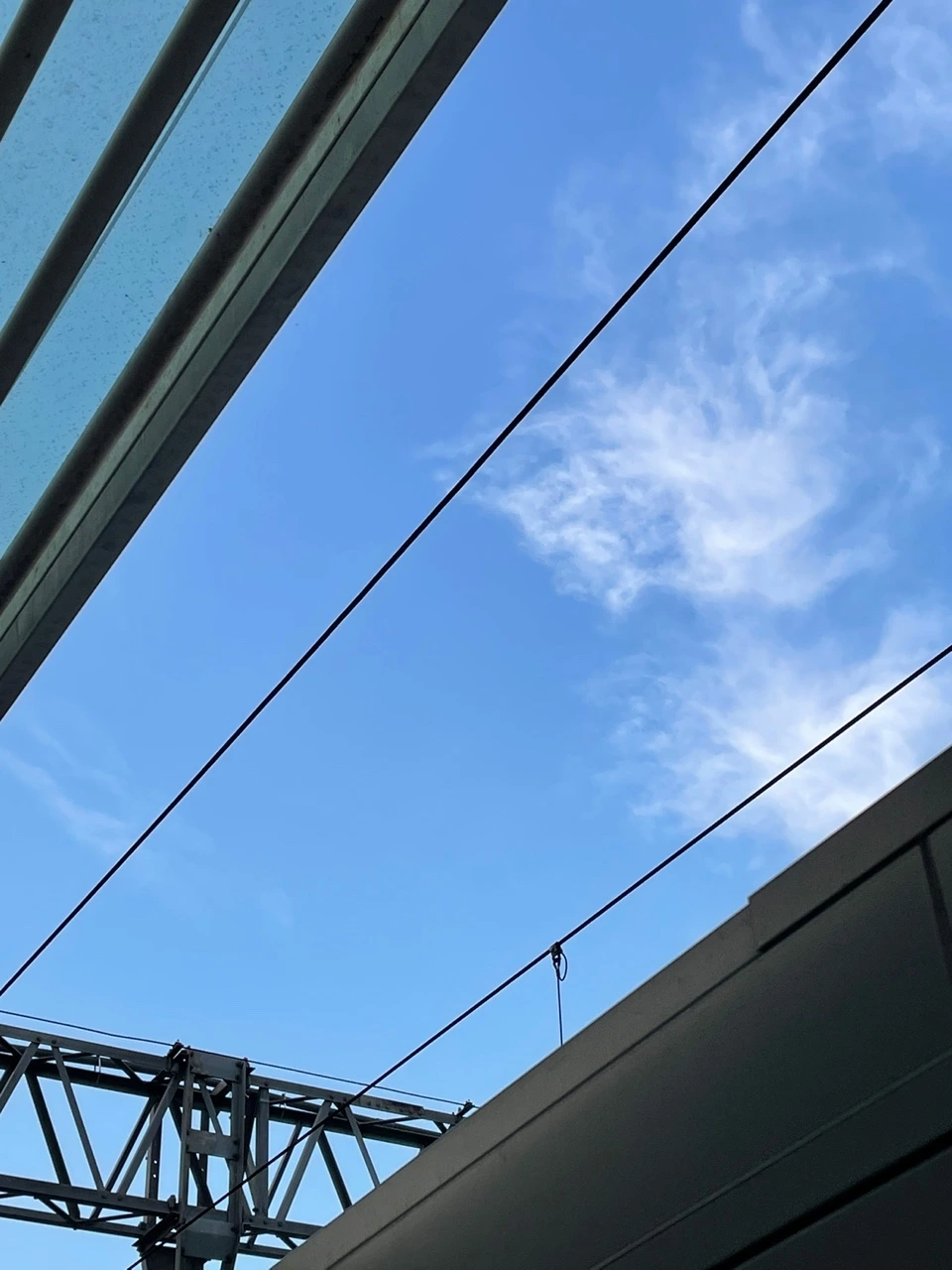 KakaoTalk_Photo_2021-07-17-08-18-43 006.jpeg