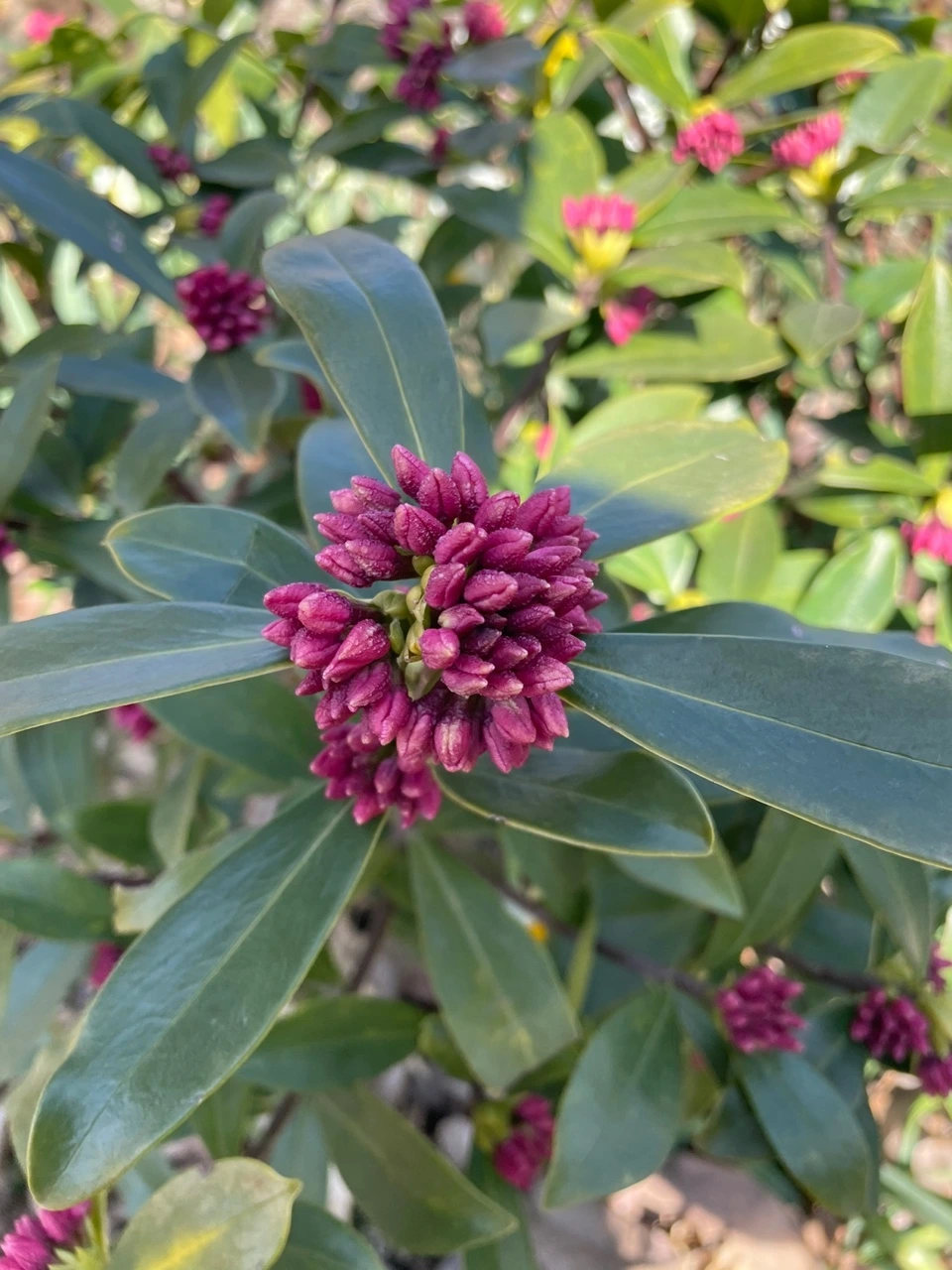 KakaoTalk_Photo_2022-02-07-14-31-29 016.jpeg