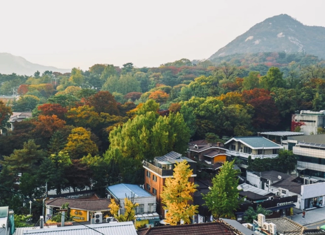 KakaoTalk_Photo_2022-10-24-09-26-03 007.jpeg