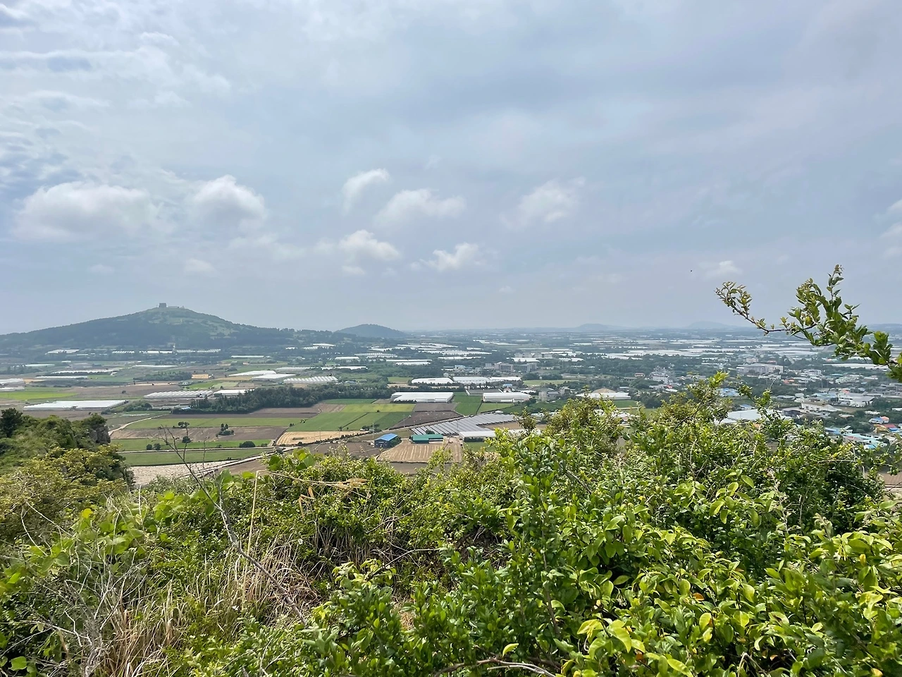 KakaoTalk_Photo_2022-05-30-08-47-16 016.jpeg