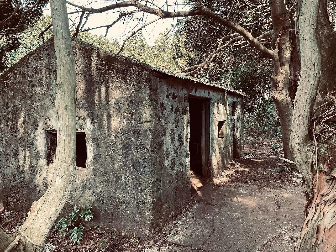 KakaoTalk_Photo_2022-04-06-08-21-13 019.jpeg