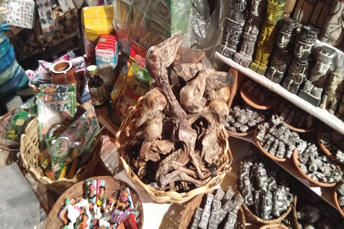 %EC%82%AC%EC%A7%848.jpg?zoom=2&resize=750%2C501