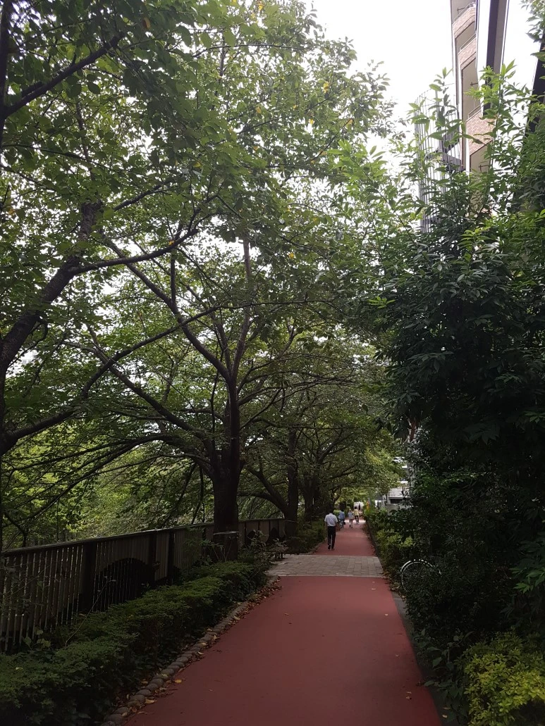 KakaoTalk_Photo_2018-09-21-15-12-02.jpeg?type=w773