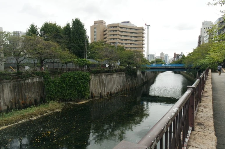 SAM_4626.JPG?type=w773