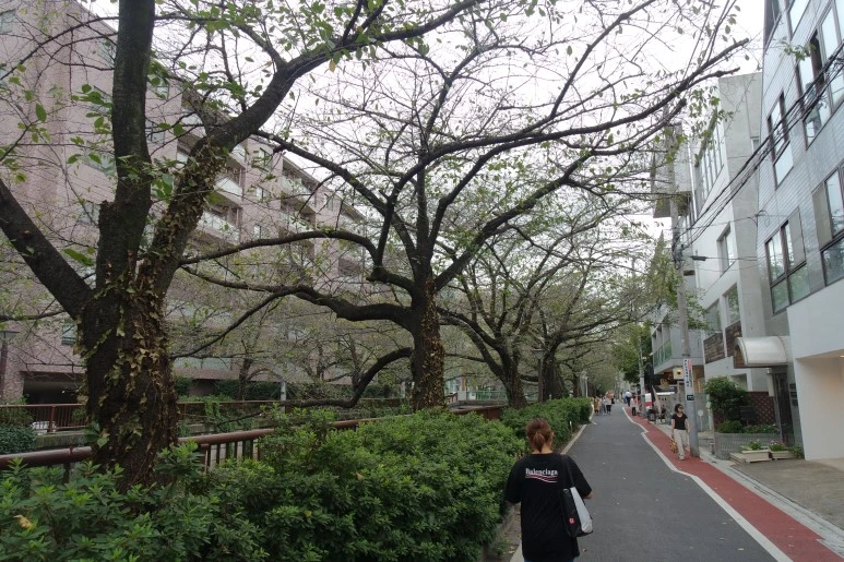 SAM_4588.JPG?type=w773