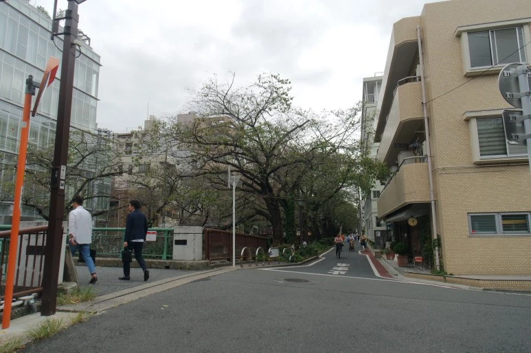 SAM_4594.JPG?type=w773