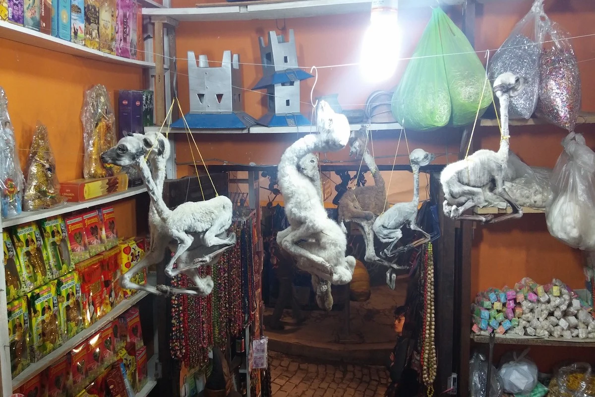 %EC%82%AC%EC%A7%849.jpg?zoom=2&resize=750%2C501