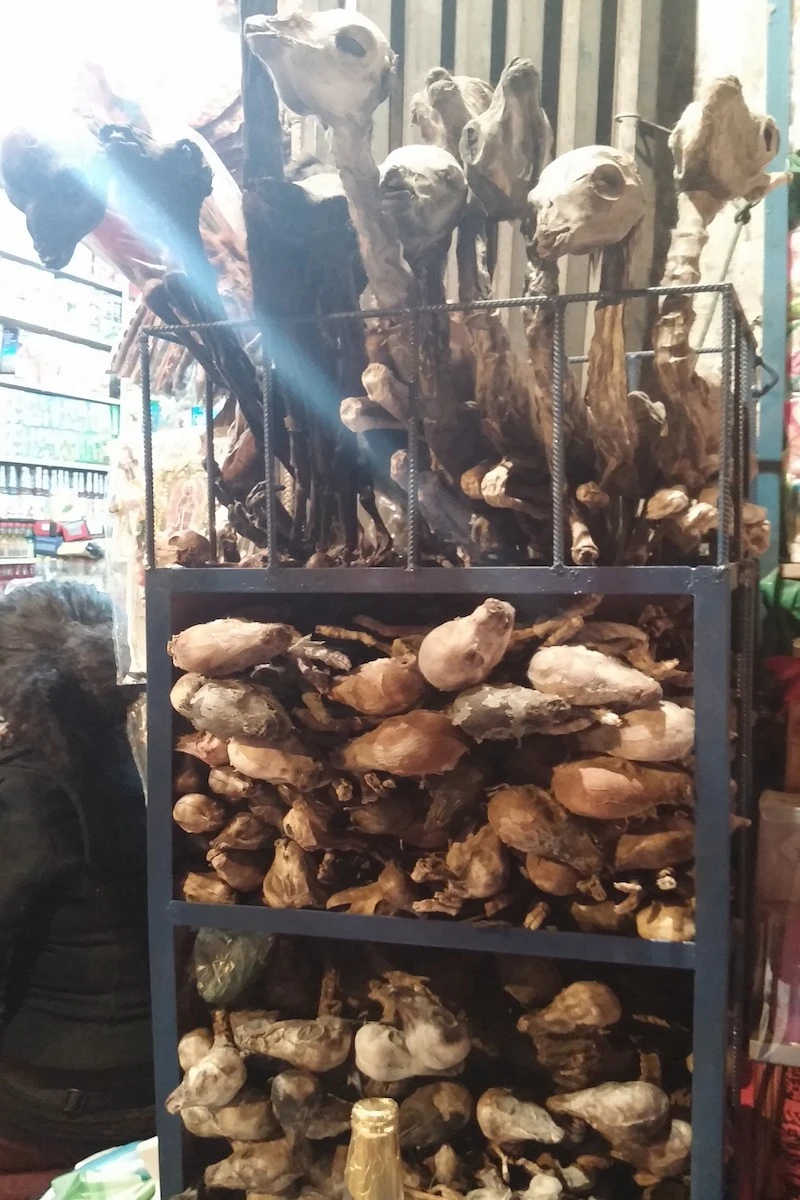 %EC%82%AC%EC%A7%847.jpg?zoom=2&resize=683%2C1024