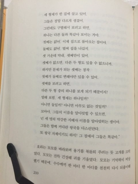 모모 수수께끼.JPG