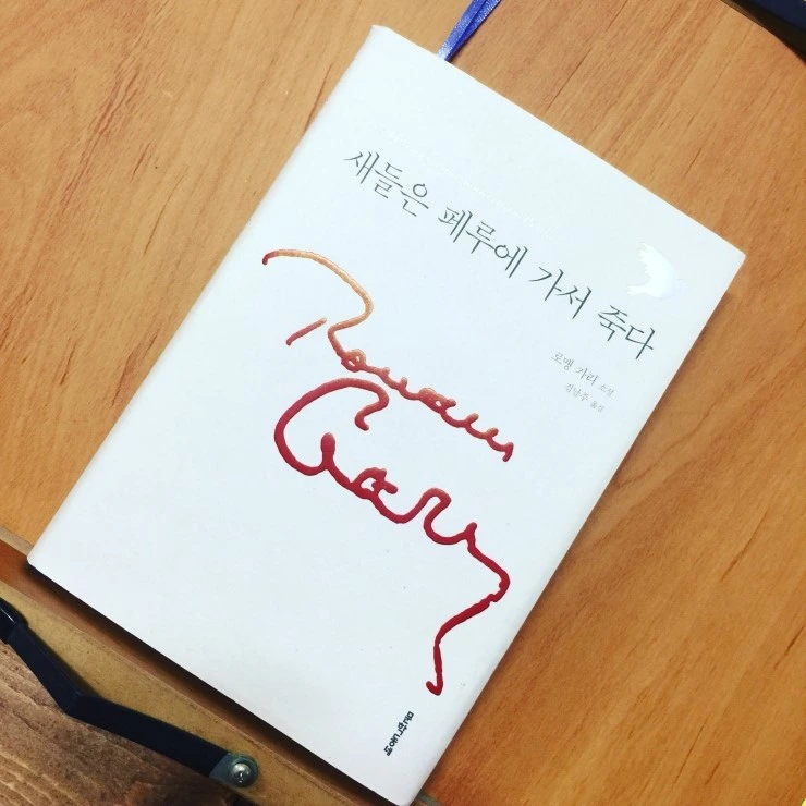 새들은 페루에 가서 죽다.JPG