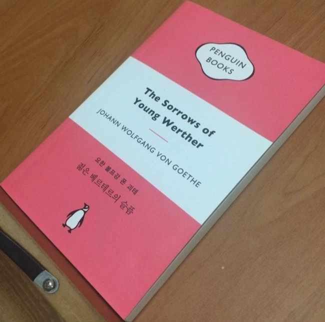 젊은베르테르의 슬픔.JPG