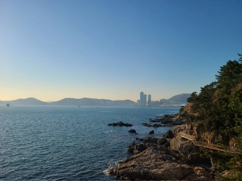 IMG_6979.JPG?type=w800