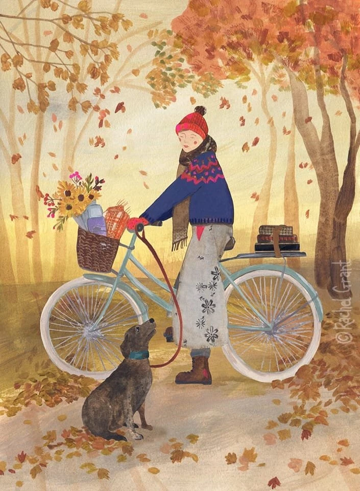 IMG_0027.JPG?type=w800