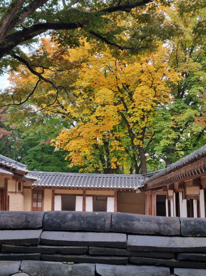 IMG_0012.JPG?type=w800