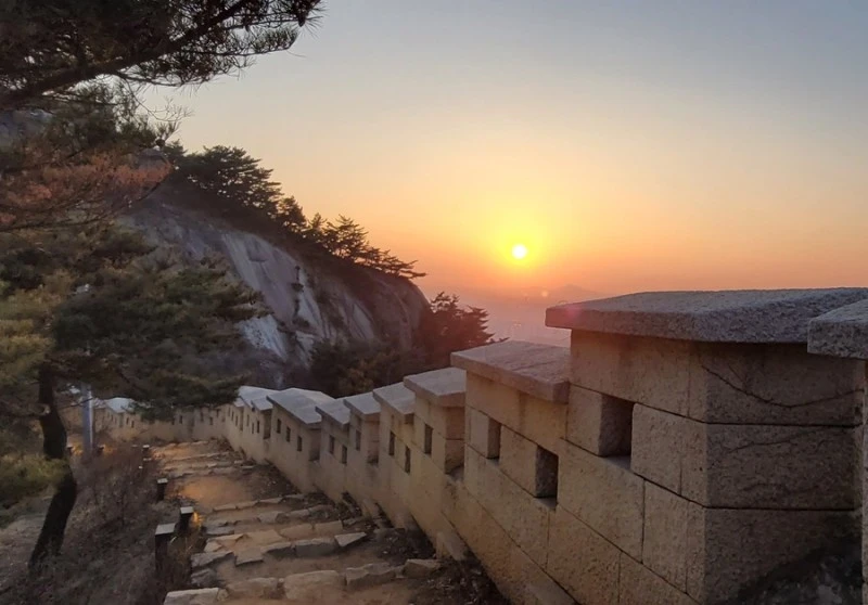 IMG_0764.JPG?type=w800