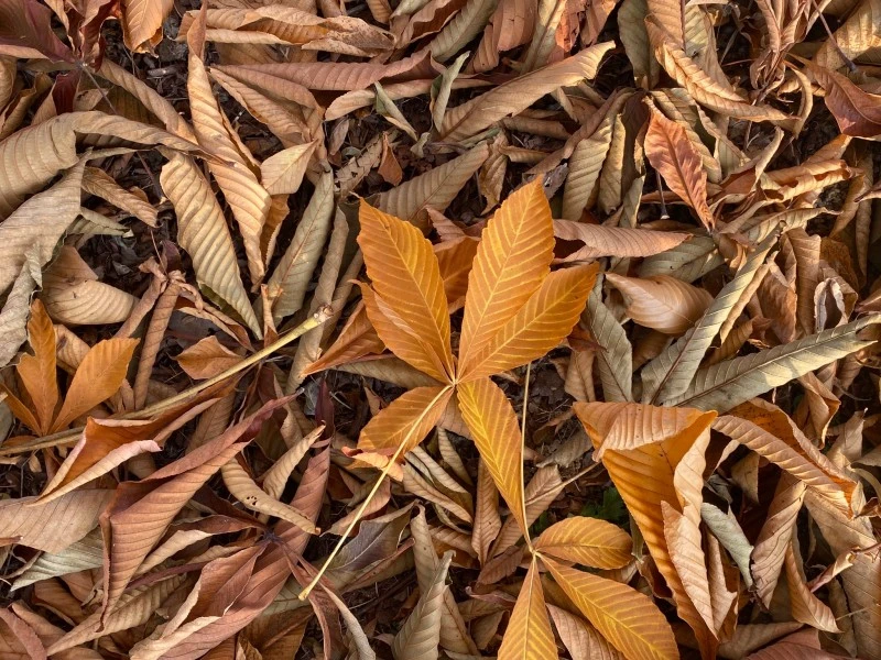 FDwRAoPakAAfcJh.jpg?type=w800