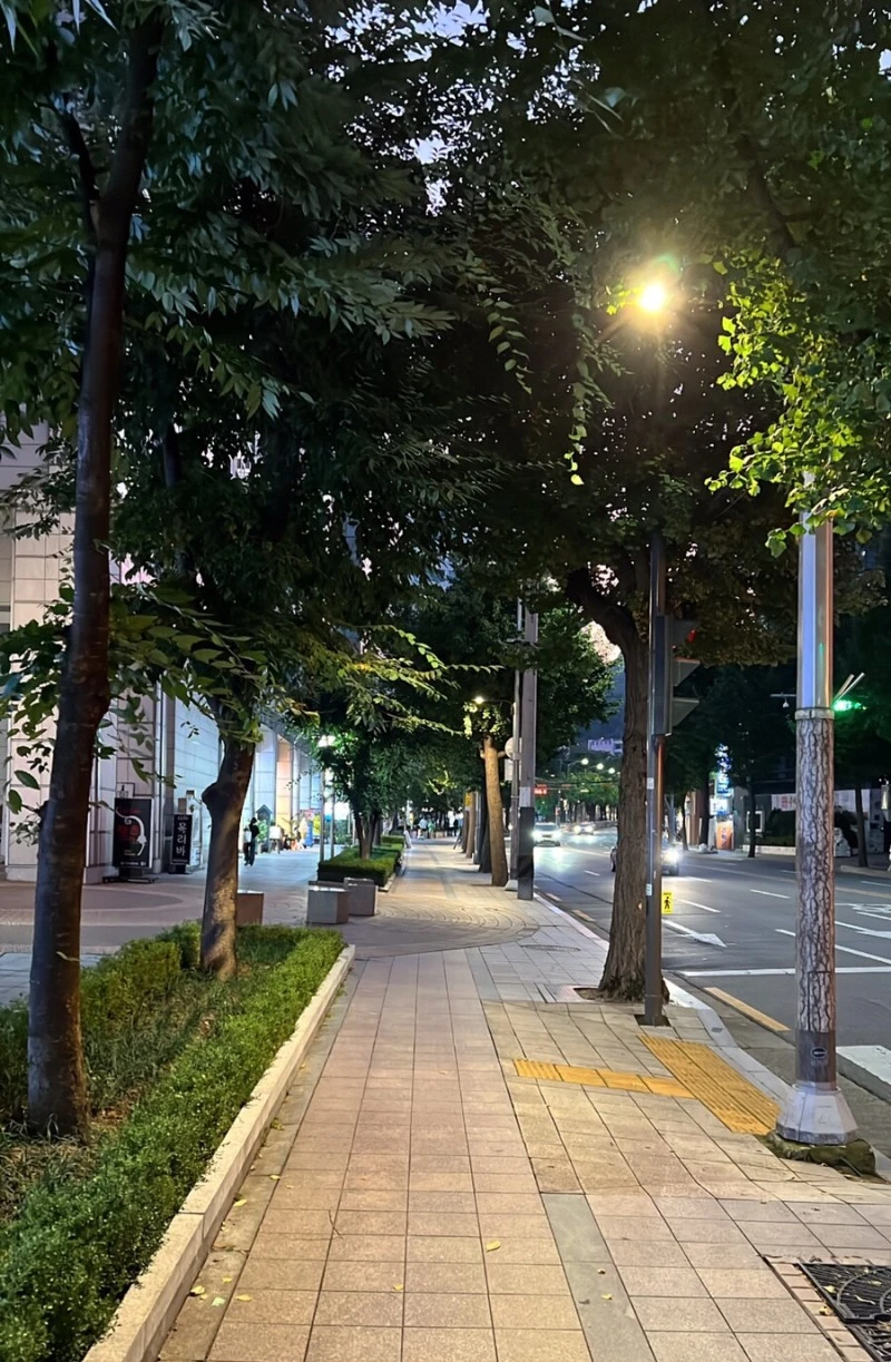 output_3320183768.jpg?type=w800