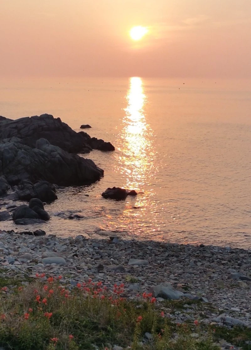 output_561174535.jpg?type=w800